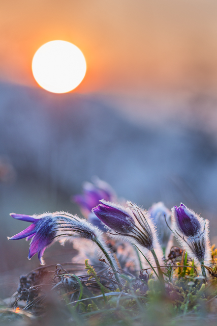 Wochenbettbetreuung - Mutter mit Baby